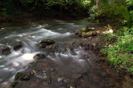 Knobleharjevo 2012 - Fotografski natečaj Občine Škocjan 2012 15
